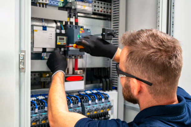 Best Affordable Electrician  in Taylorsville, MS